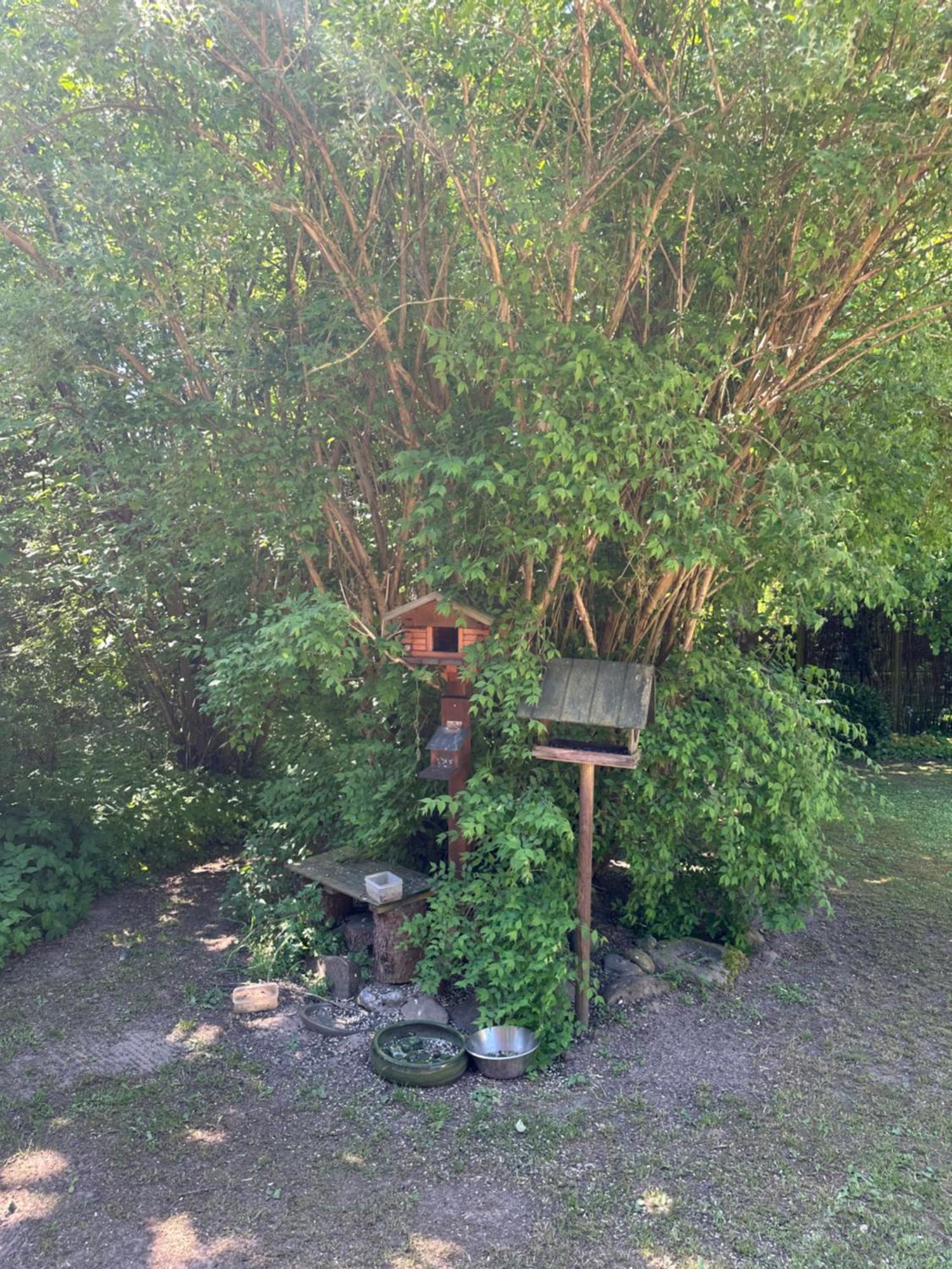 Large Room With Balcony At The Edge Of The Forest Løkken Exterior foto